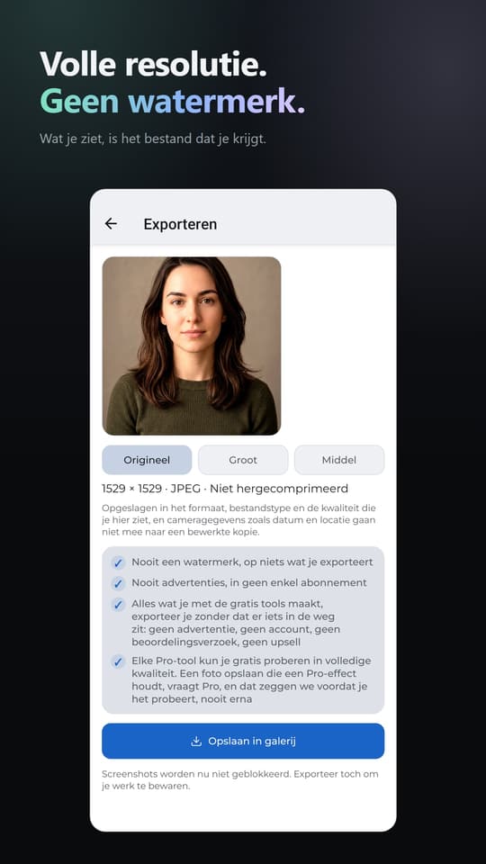 Volle resolutie. Geen watermerk. Wat je ziet, is het bestand dat je krijgt.